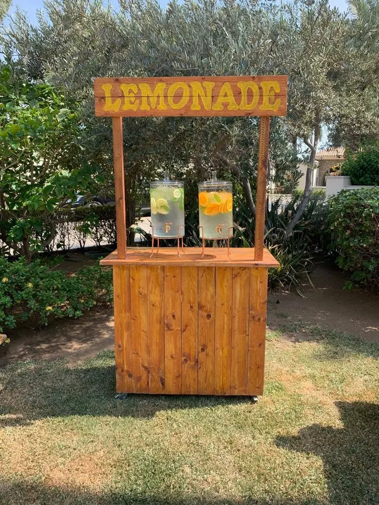 Lemonade Stand with Flavored Water Rental
