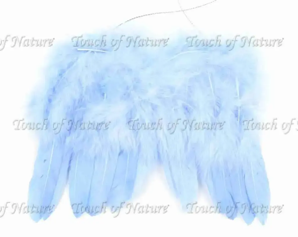Mini Feather Wings (7x6) Inches 