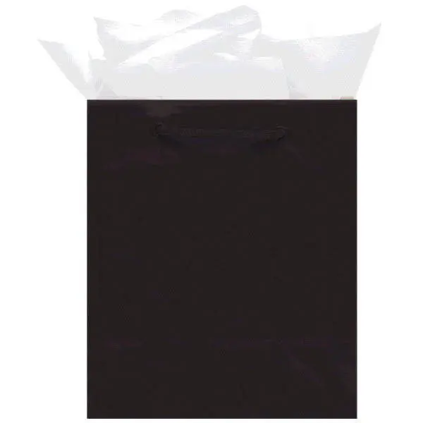 Medium Solid Glossy Bag (9 1/2H x 7 3/4W x 4 1/2D) inches
