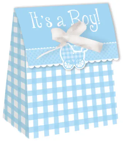Gingham Favor Bags (Girl & Boy)