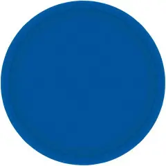 طبق قياس ٩ إنش