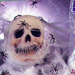 White Spider Web With 4 Plastic Spiders 20 Grams