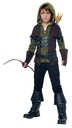 Robin Hood Kids Costume