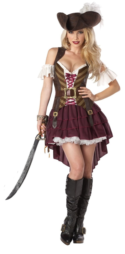 Swashbuckler Pirate Adult Costume
