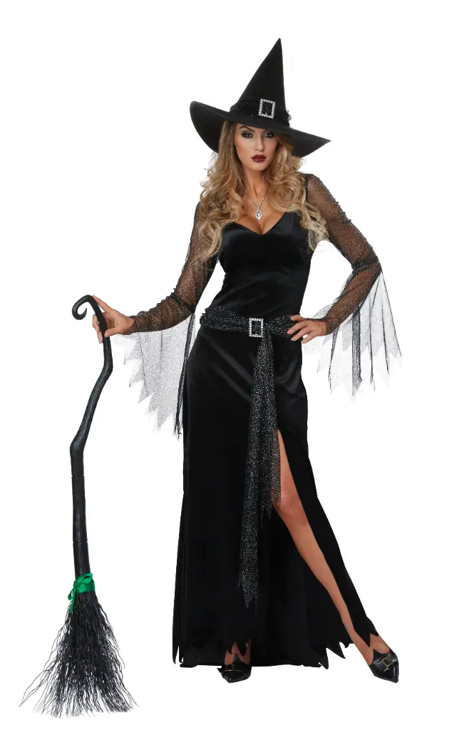 Rich Witch Women's Costume
