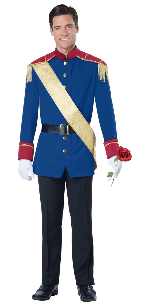 Storybook Prince Men's Costume