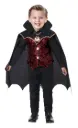 Swanky Vampire Boys Costume