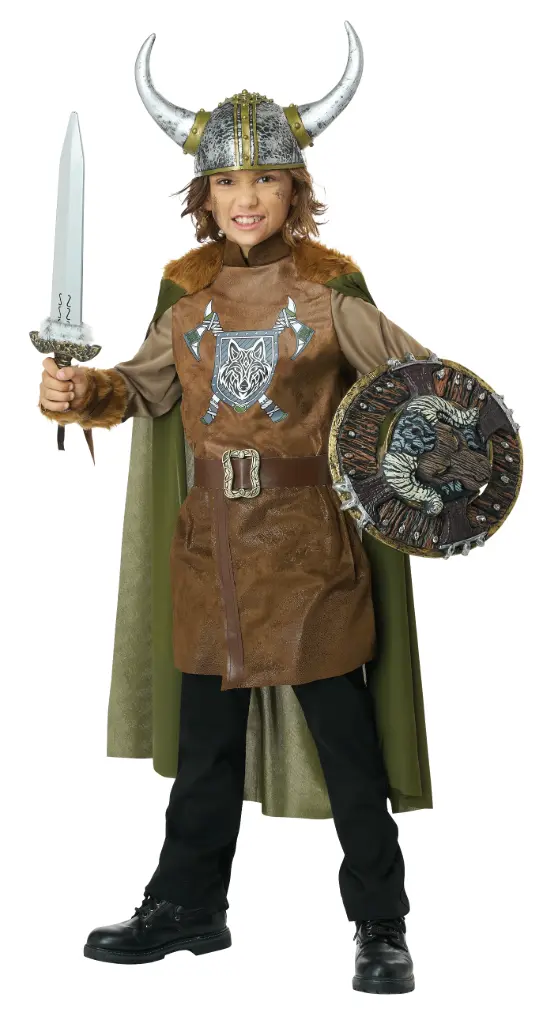 Brave Viking Boys Costume