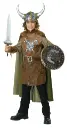 Brave Viking Boys Costume