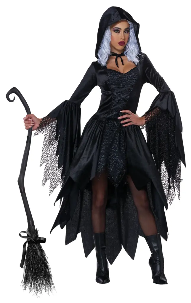 BEWITCHING BEAUTY Witch Women's Costume
