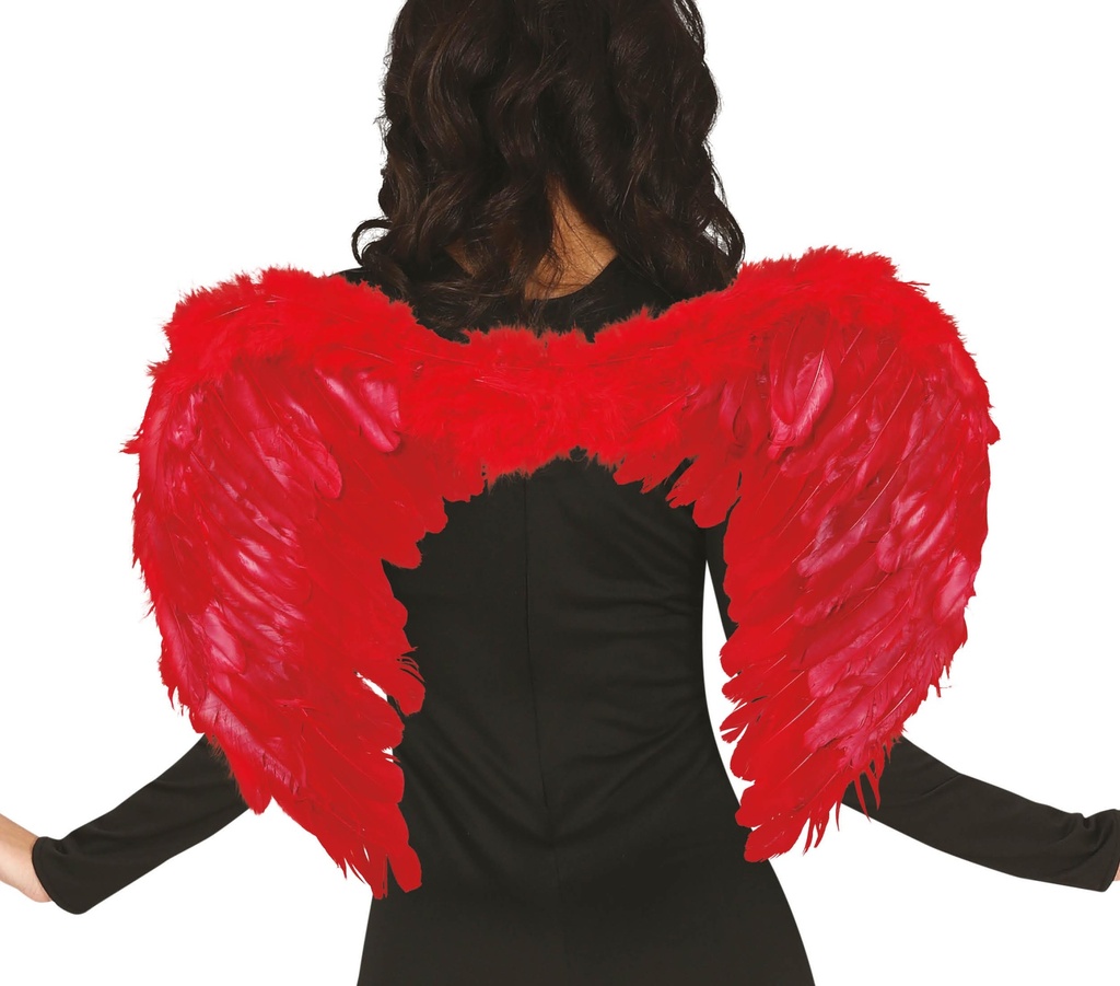 Red Feather Wings, 60x40 Cms