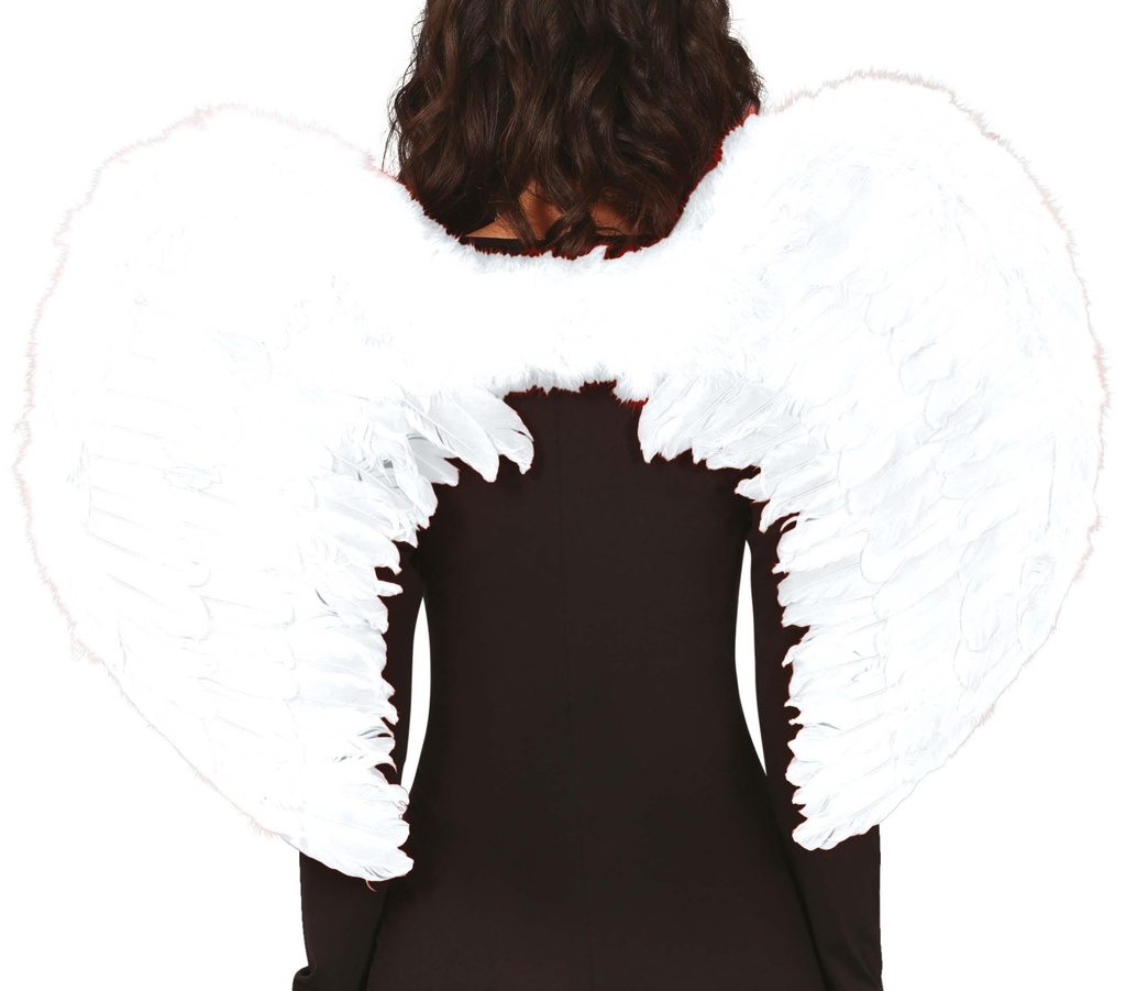 Feather Wings White 80x55 Cms