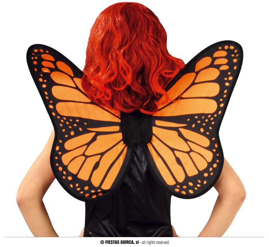 Butterfly Wings, 57x50 Cm