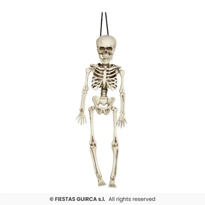 Skeleton 40 Cm