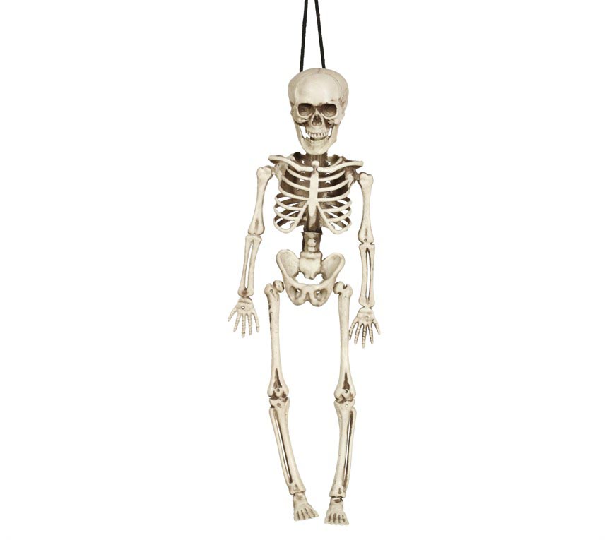 Skeleton 40 Cm