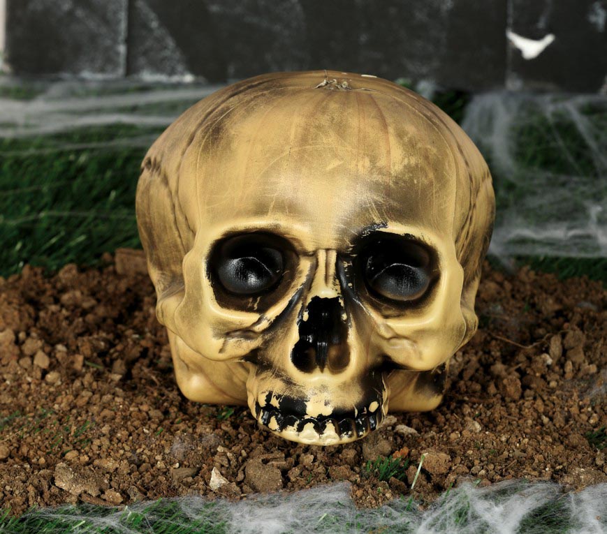 Chin Less Plastic Skull 20 Cms