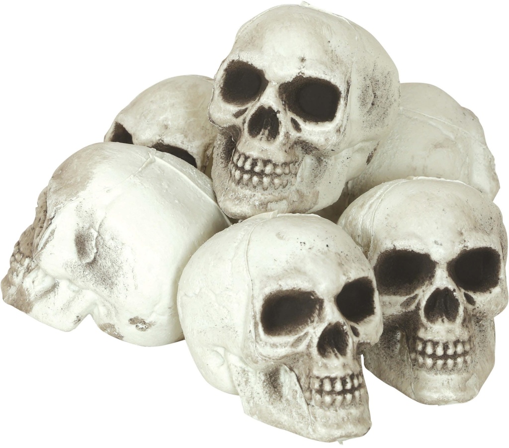 Set Of 6 Skulls 8 Cm