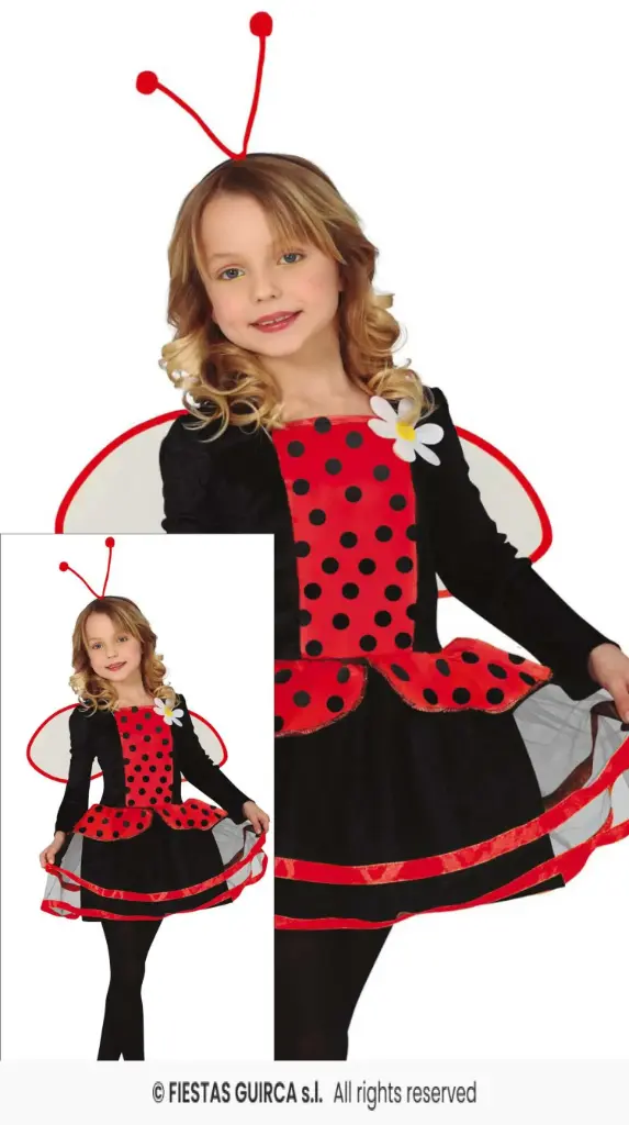 Ladybird Child Costume