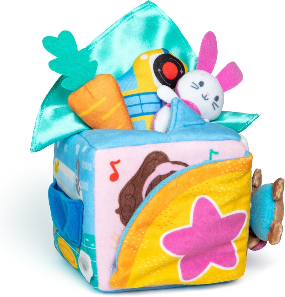 Suprise Learning Box