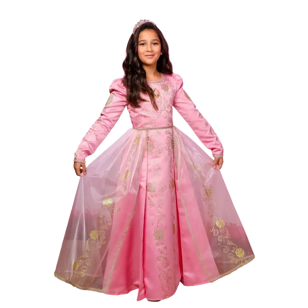 Child Golden Princess Aurora Prestige Dress up - Sleeping Beauty