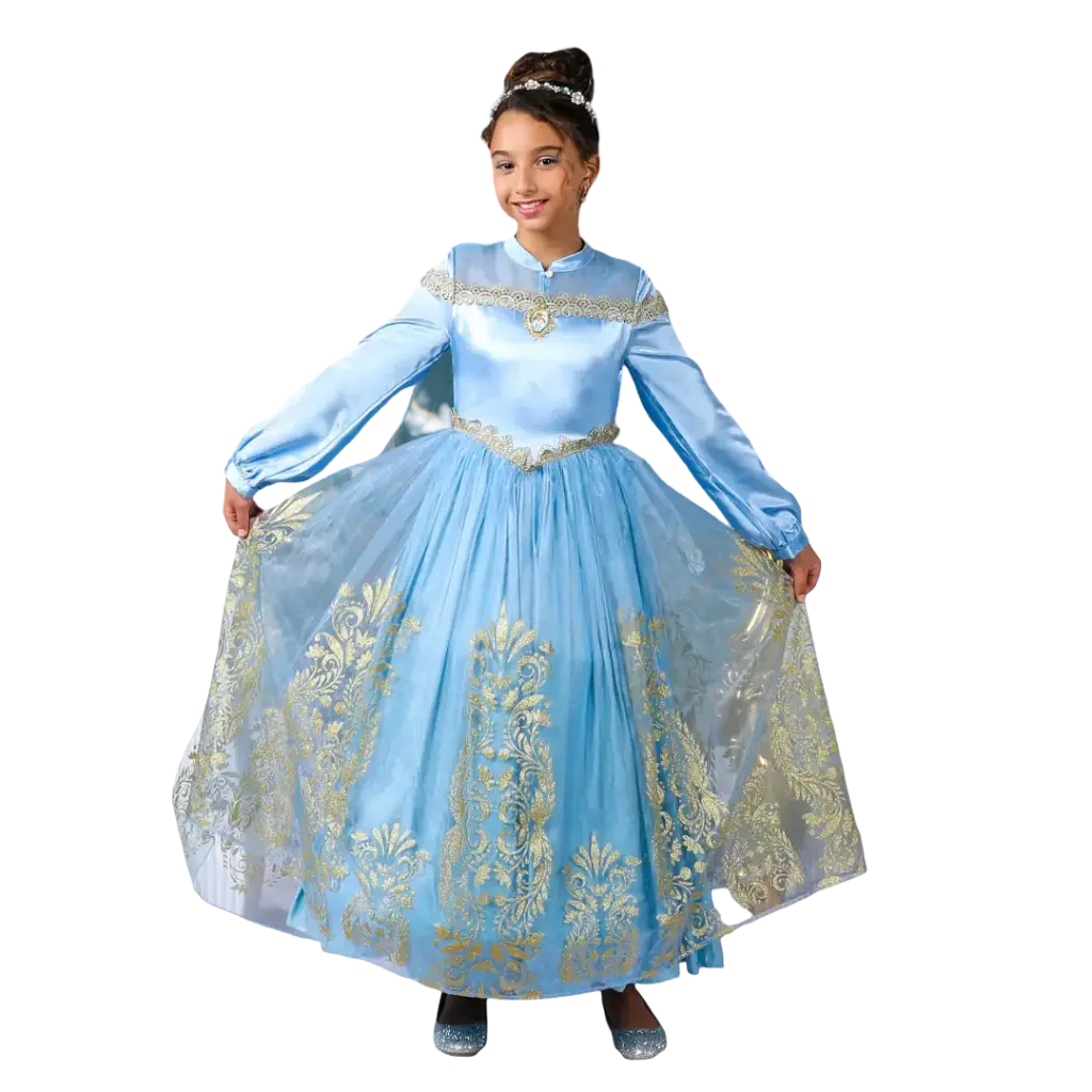 Child Golden Princess Cinderella Prestige Dress up