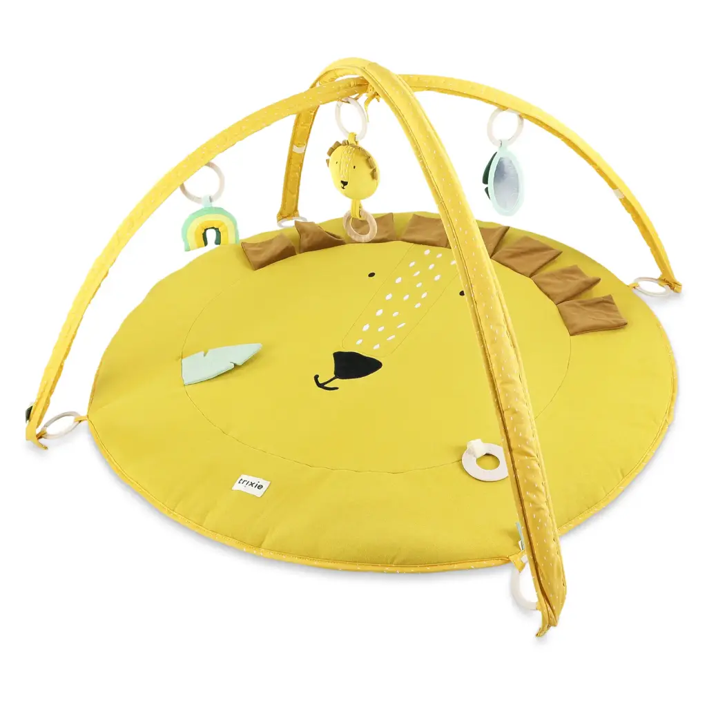 Activity Play Mat With Arches - Mr. Lion - 3M+