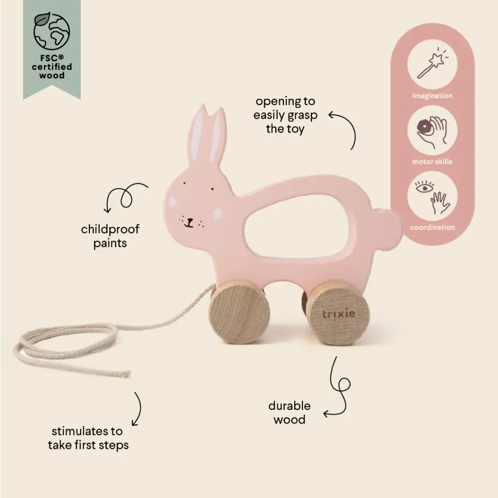 Wooden Pull Along Toy - Mrs. Rabbit - 18M+