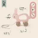 Wooden Pull Along Toy - Mrs. Rabbit - 18M+