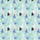 Disney Frozen Giftwrap