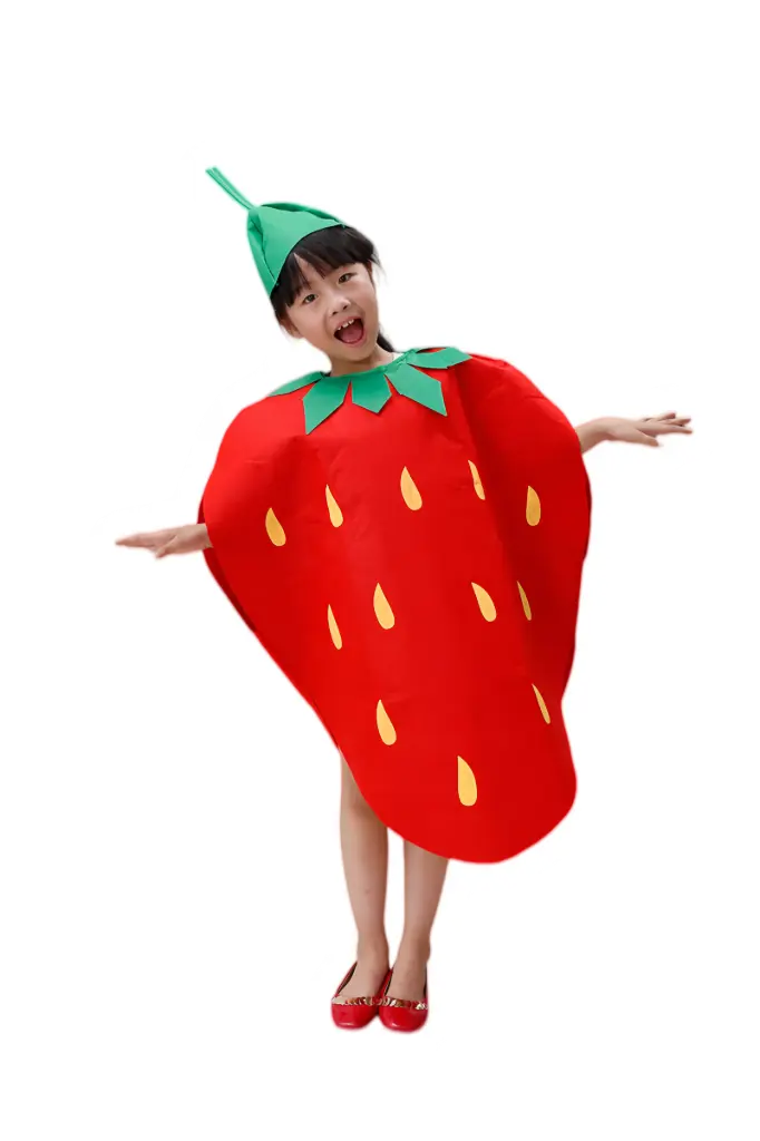 Kids Strawberry Costume