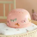 مصباح عرض الفراشات