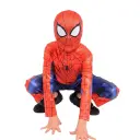 Spiderman Classic Dress-Up Costume