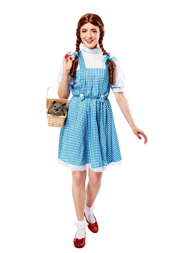 The Wizard of Oz Dorothy Teen Costume