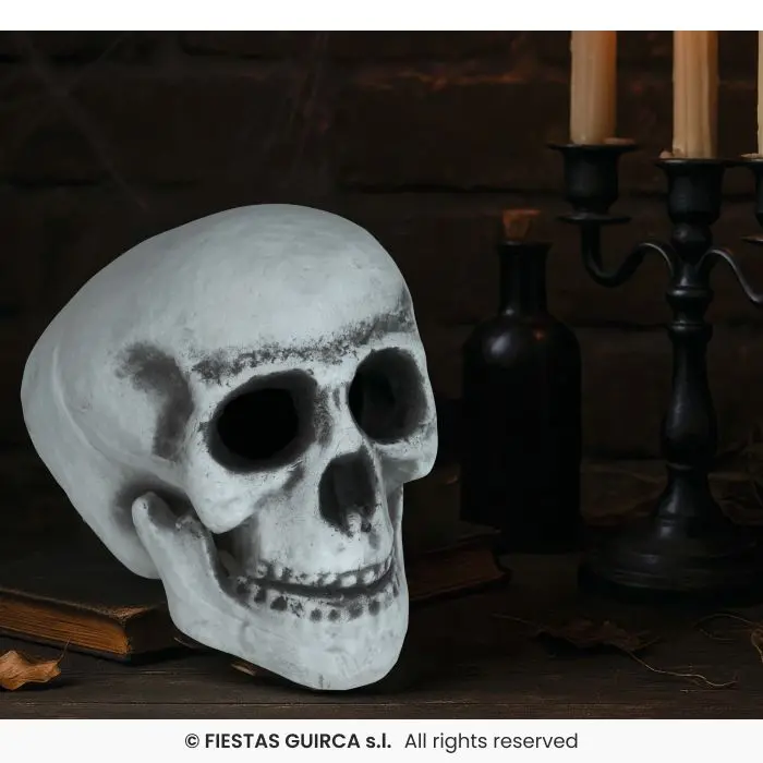 Skull Decoration, 30 cm