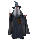 Wandering Wizard Adult Costume