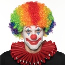 Rainbow Clown Afro Wig - Short
