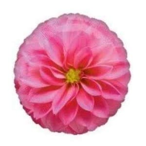 [31985961] 18" Photogrphic Pink Flower Hawaiian/Tropical