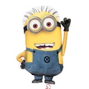 25'' Minion Shp