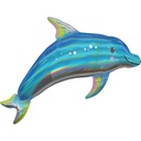 29" Irid Blue Dolphin Shp - Flt