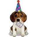 41 Inch Mylar Balloon Happy Birthday Puppy Shp