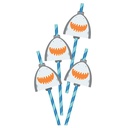 Ahoy Birthday s with Add Ons Food Picks & Straws
