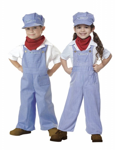 [C1-00049DM] Amtrak Train Engineer