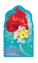 ArielGIANT 1 PC UPC 021505410972 Pinatas