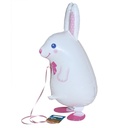 Balloons - My Own Pet White Rabbit