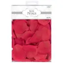 Flower PetalsConfetti Popper Streamer