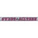 Bnr Letter Fringe Glitter Sw16