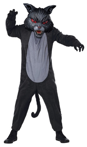 Cat Fight Costume Boys Child