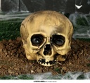 Chin Less Plastic Skull 20 Cms