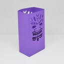 Customized Luminary Bags