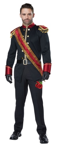 Dark Prince Men's Costume